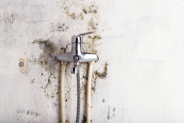 Water Damage Restoration in Lowellville, OH