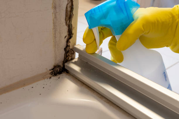 Best Residential Mold Removal  in Lowellville, OH